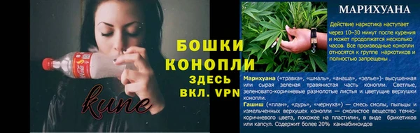 мяу мяу мука Тайга