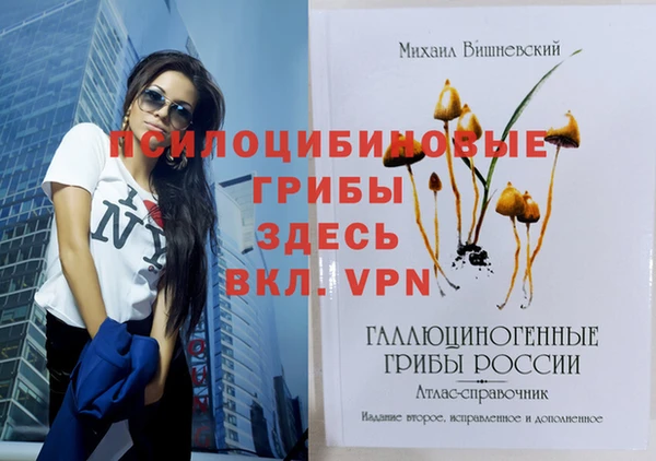 mdpv Медвежьегорск