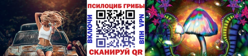 Галлюциногенные грибы GOLDEN TEACHER  KRAKEN ONION  Терек 