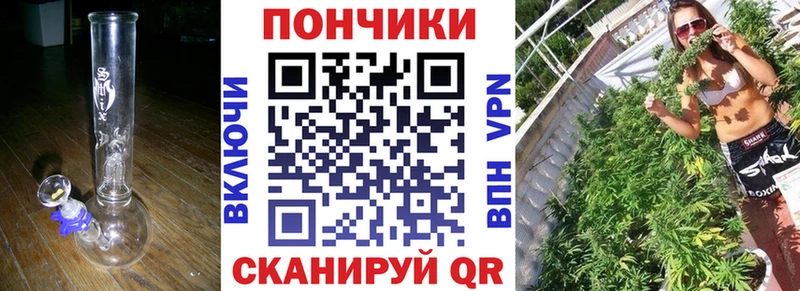 Конопля OG Kush  маркетплейс телеграм  Терек  где найти наркотики 